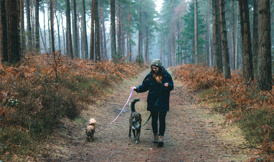 a woman and dog stand in a forest