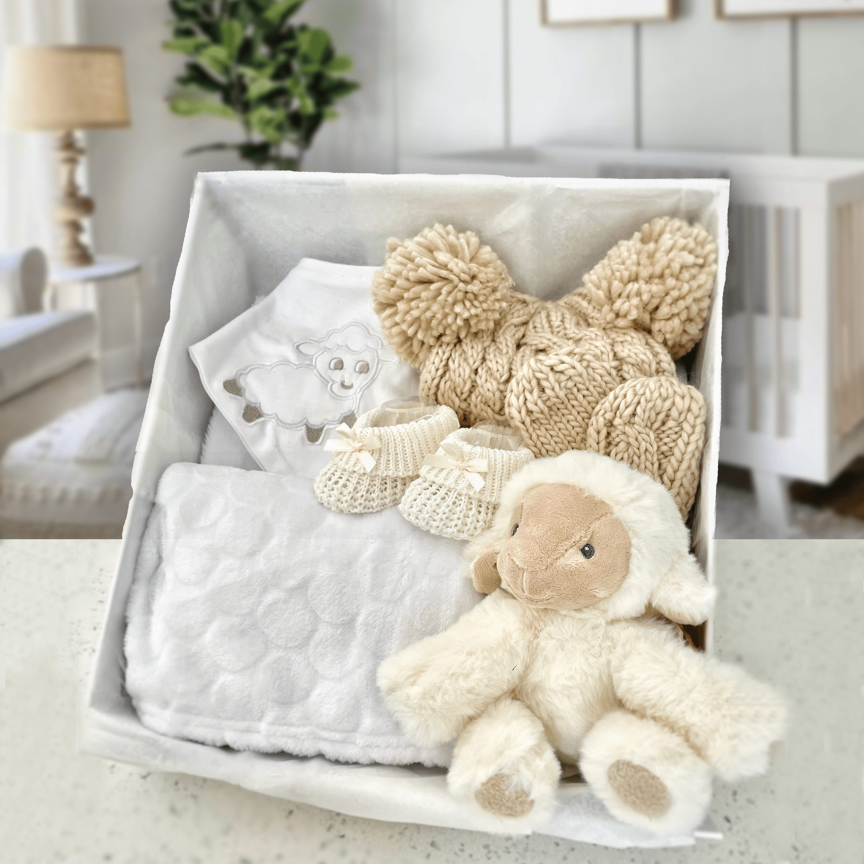 Lamb Newborn Baby Gift