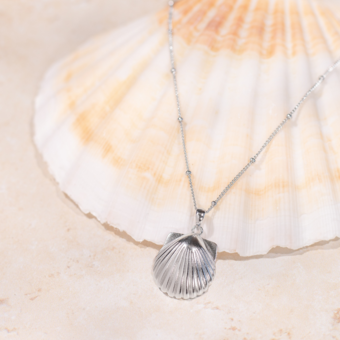 Sterling Silver Seashell Necklace Made by Lunar & Waves