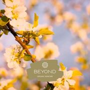 Beyond Organic