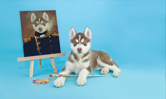 Personalised royal pet portrait