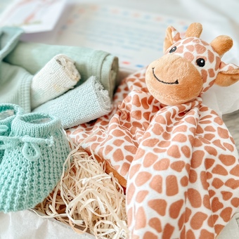 Giraffe Comforter