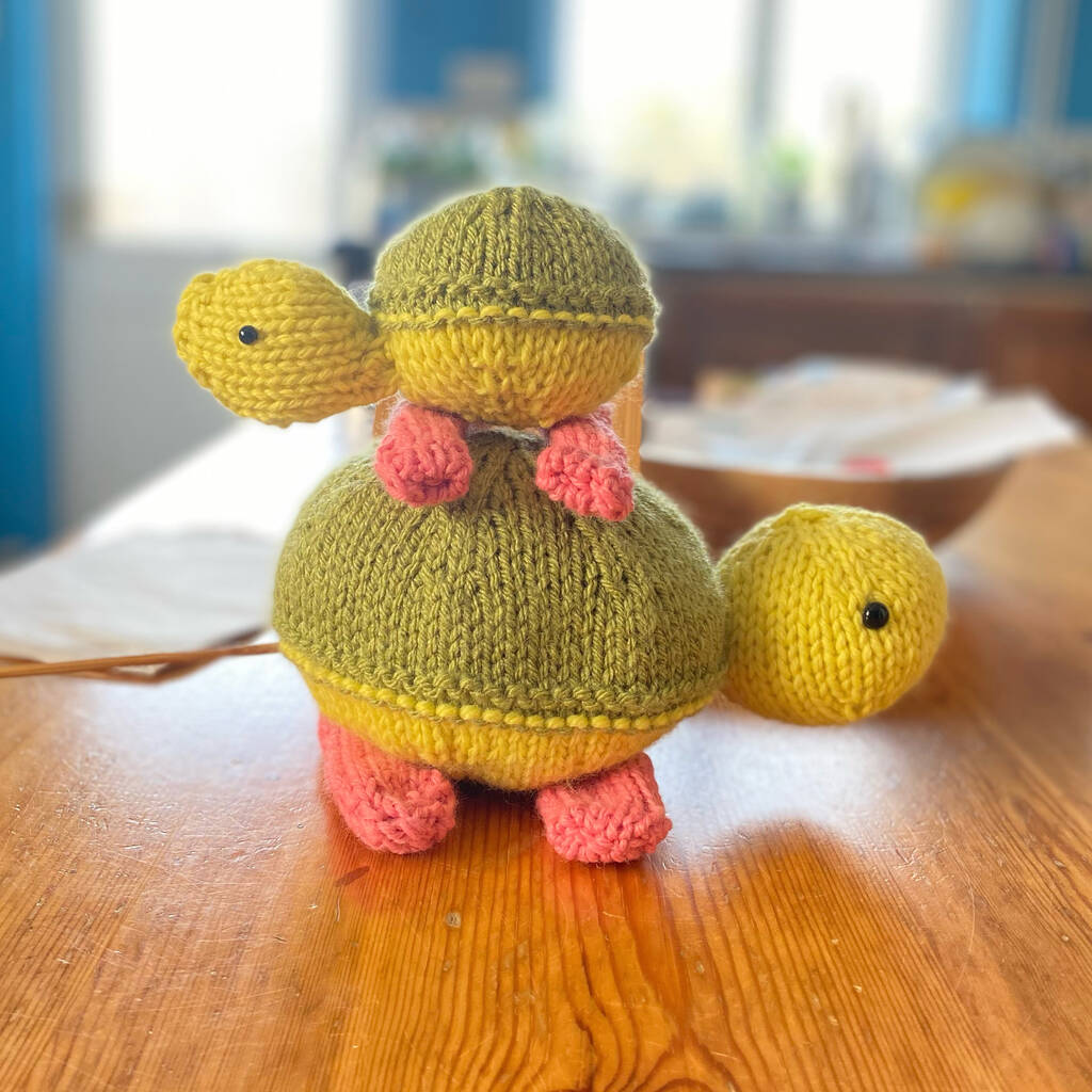 Turtle Family Knitting Pattern
