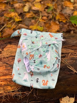 Reusable Nappy and small wet bag