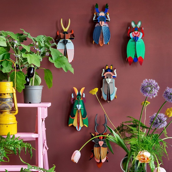 3D Beetle Wall Decorations in cardboard and vegetable ink.
